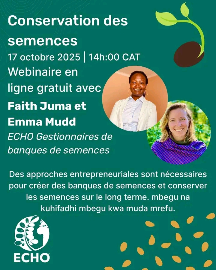 Annonce echo